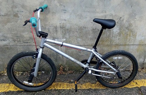 mongoose program 20